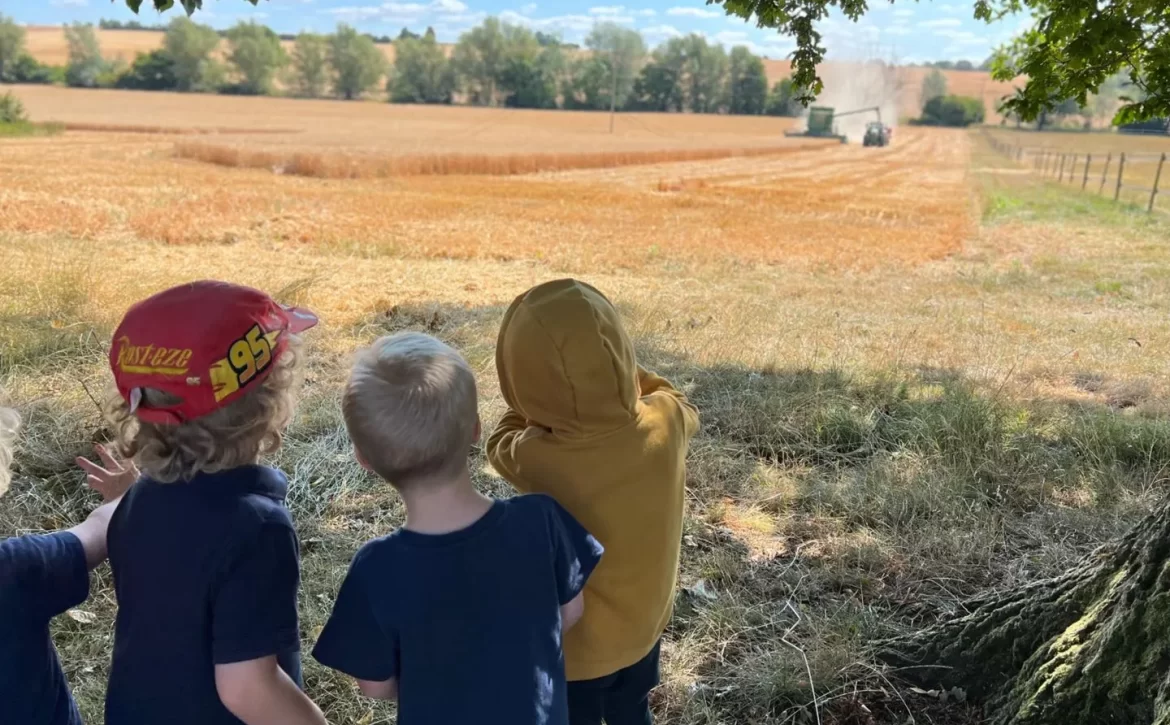 CabinHarvest-9019ac05-1920w