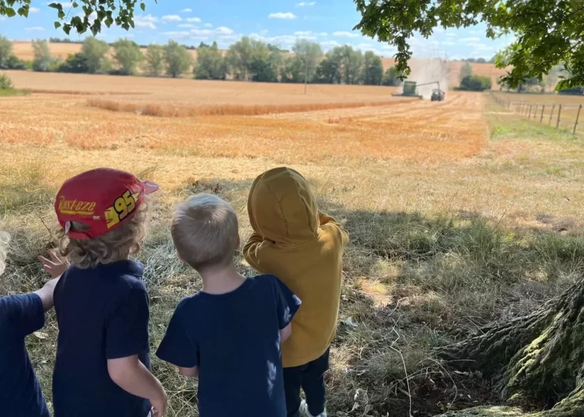 CabinHarvest-9019ac05-1920w