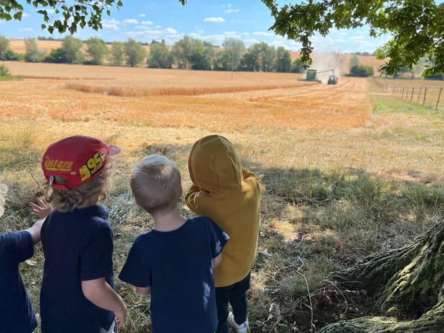 CabinHarvest-9019ac05-1920w