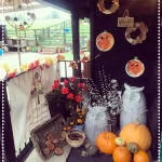 Welcome to Autumn at The Barn Nursery...
