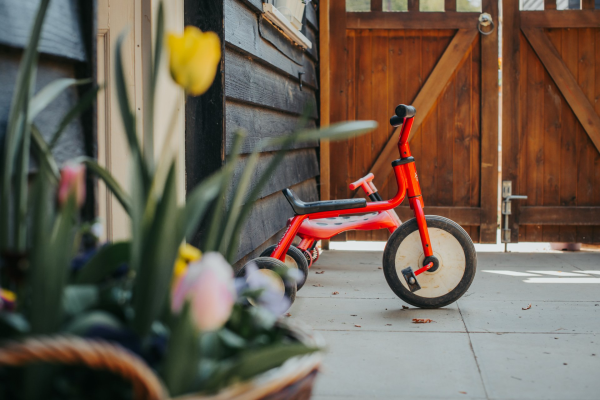 TBN-183-985d8c1d-4f256514