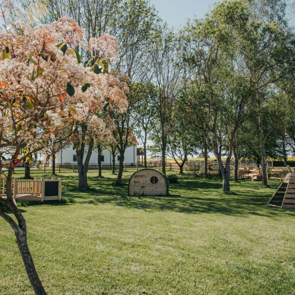The-Barn-Nursery-–-Debden,-Saffron-Walden---Field